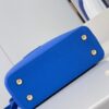 Louis Vuitton Capucines Mini