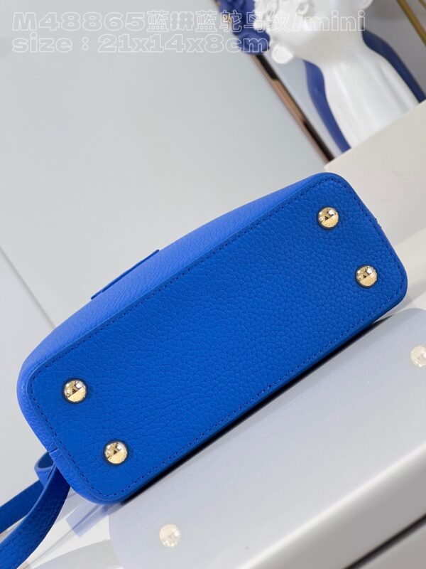 Louis Vuitton Capucines Mini