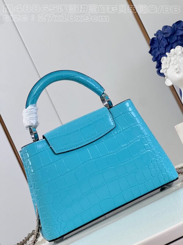 Louis Vuitton Capucines BB