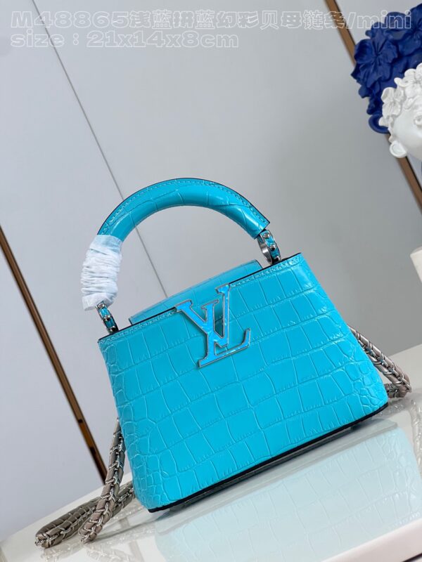 Louis Vuitton Capucines Mini