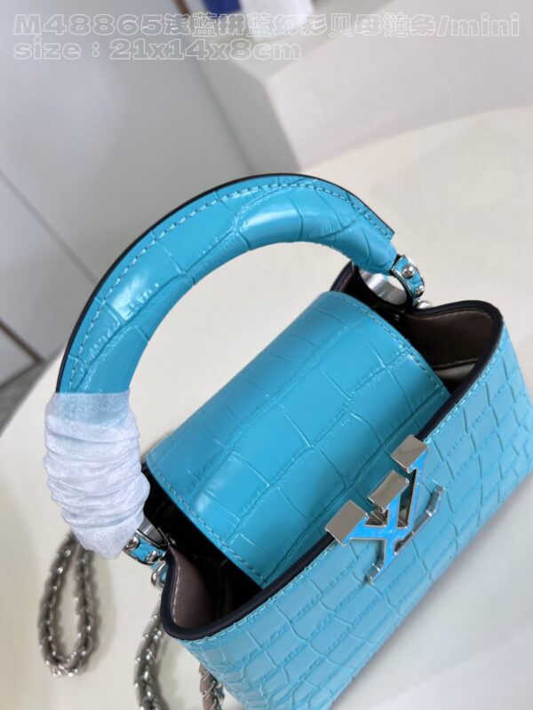 Louis Vuitton Capucines Mini