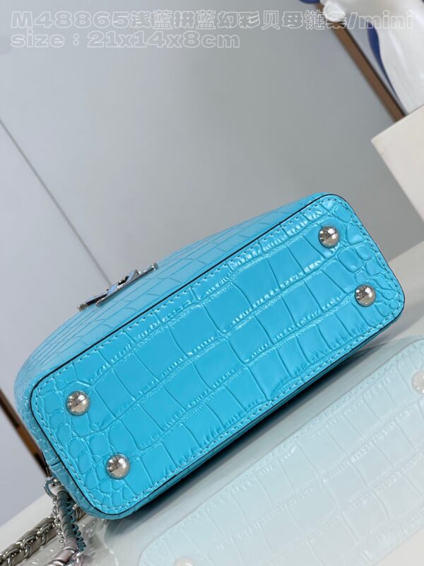 Louis Vuitton Capucines Mini