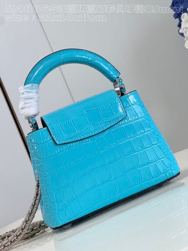 Louis Vuitton Capucines Mini