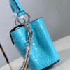 Louis Vuitton Capucines Nano