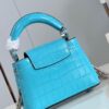 Louis Vuitton Capucines Nano