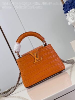 Louis Vuitton Capucines Mini