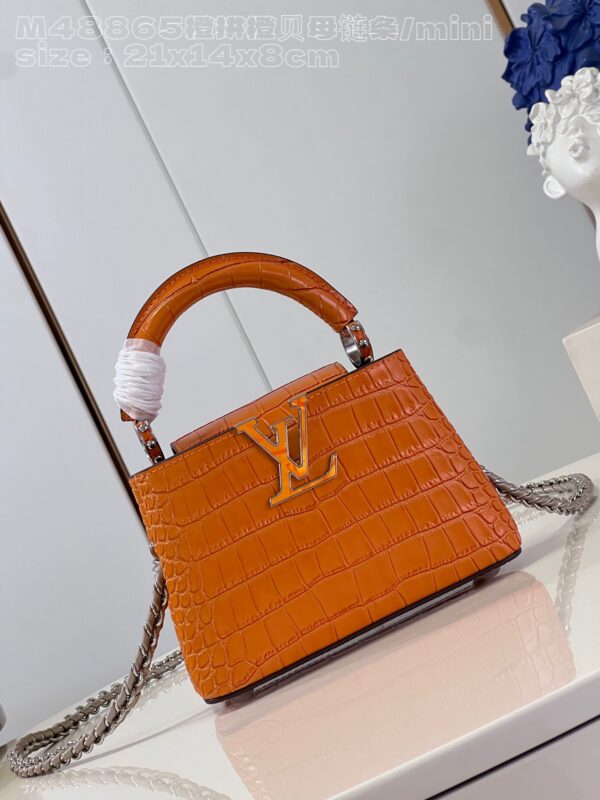 Louis Vuitton Capucines Mini