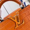 Louis Vuitton Capucines Mini