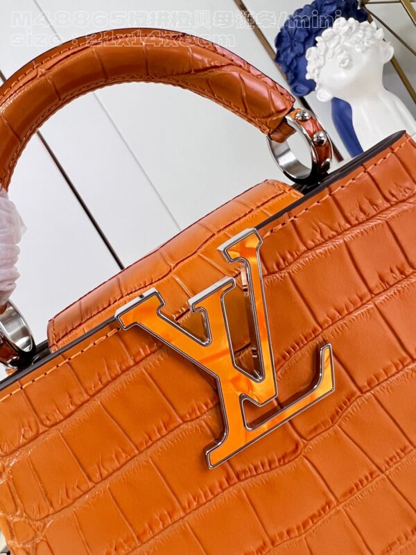 Louis Vuitton Capucines Mini