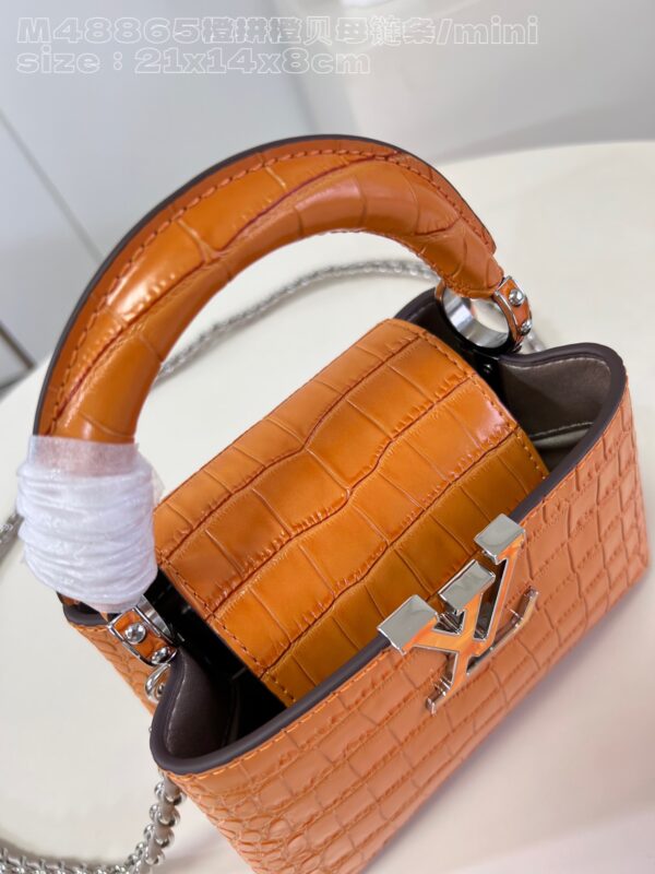 Louis Vuitton Capucines Mini