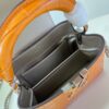 Louis Vuitton Capucines Mini