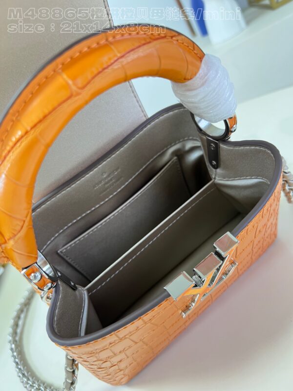 Louis Vuitton Capucines Mini