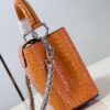 Louis Vuitton Capucines Mini