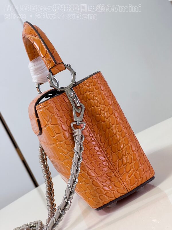 Louis Vuitton Capucines Mini