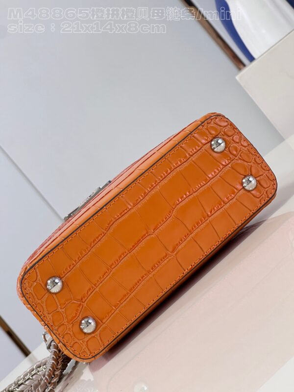 Louis Vuitton Capucines Mini