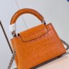 Louis Vuitton Capucines Mini