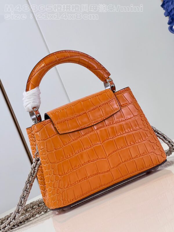 Louis Vuitton Capucines Mini