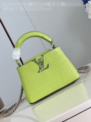 Louis Vuitton Capucines Mini