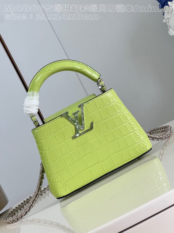 Louis Vuitton Capucines Mini
