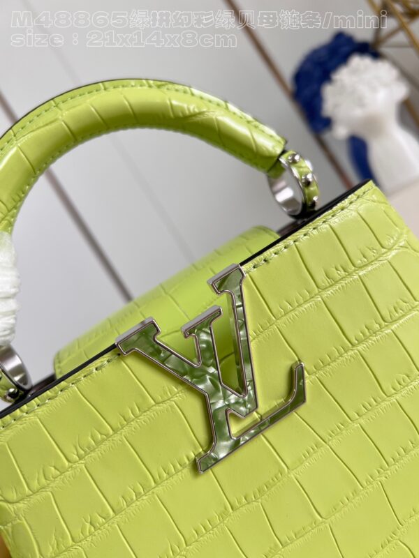 Louis Vuitton Capucines Mini