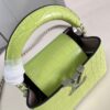 Louis Vuitton Capucines Mini