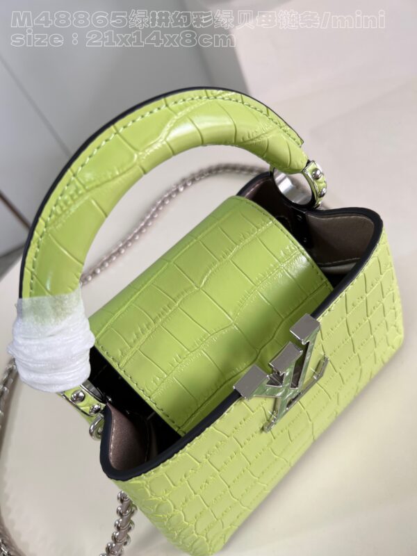 Louis Vuitton Capucines Mini