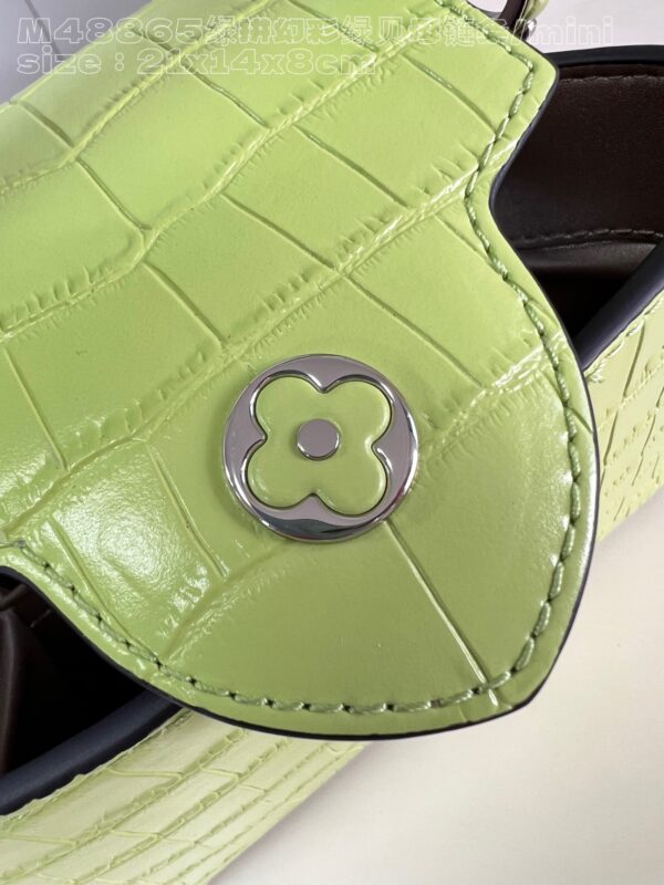 Louis Vuitton Capucines Mini