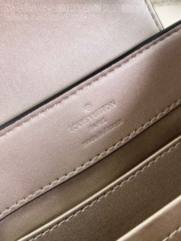 Louis Vuitton Capucines Mini