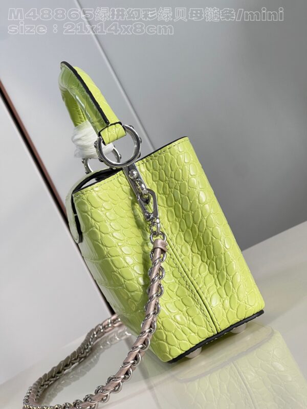 Louis Vuitton Capucines Mini