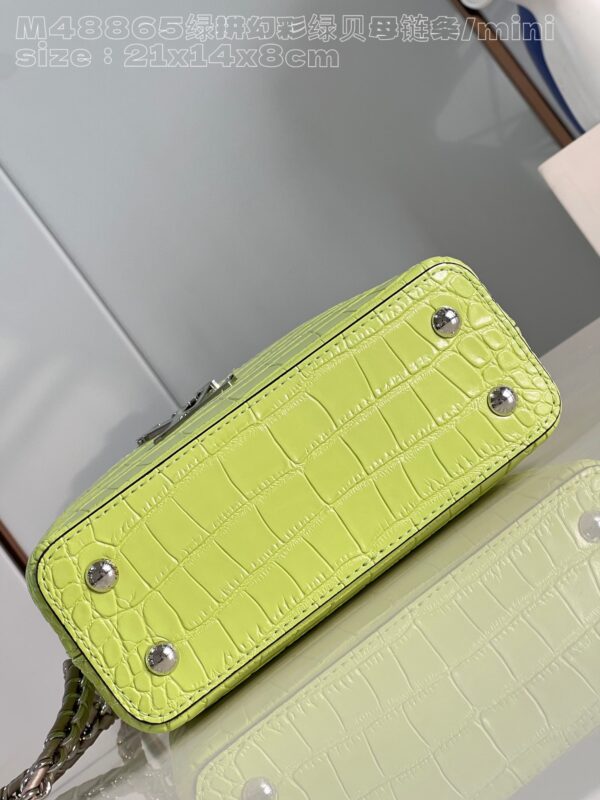 Louis Vuitton Capucines Mini