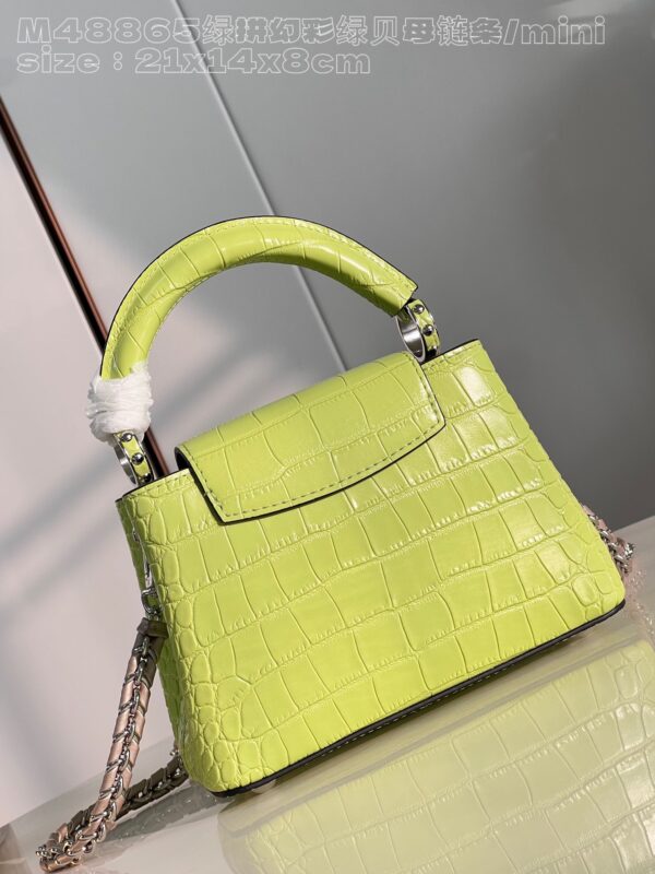 Louis Vuitton Capucines Mini