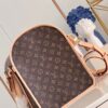 Louis Vuitton Dog Carrier 40
