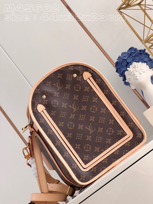 Louis Vuitton Dog Carrier 40