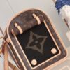 Louis Vuitton Dog Carrier 40