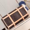 Louis Vuitton Dog Carrier 40