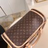 Louis Vuitton Dog Carrier 40