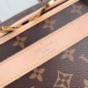 Louis Vuitton Dog Carrier 40