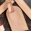 Louis Vuitton Dog Carrier 40