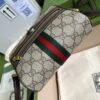 Gucci Ophidia GG Supreme mini bag
