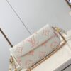Louis Vuitton Wallet on Chain Ivy
