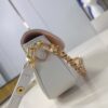 Louis Vuitton Wallet on Chain Ivy
