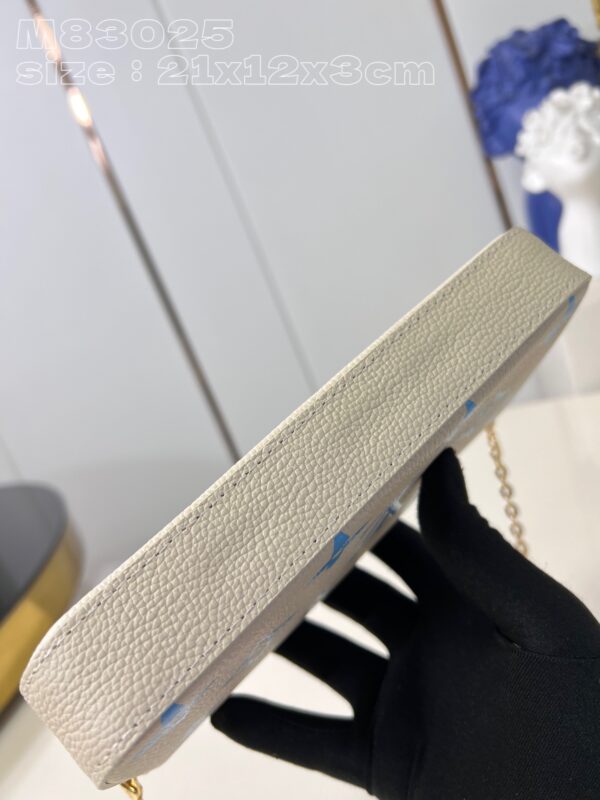 Louis Vuitton Félicie Pochette