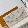 Louis Vuitton Félicie Pochette
