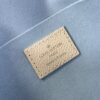 Louis Vuitton Félicie Pochette