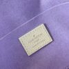 Louis Vuitton Félicie Pochette