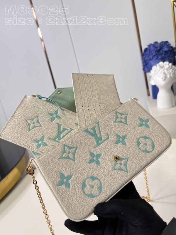 Louis Vuitton Félicie Pochette