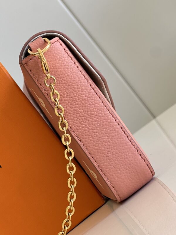 Louis Vuitton Félicie Pochette