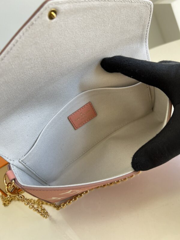 Louis Vuitton Félicie Pochette