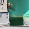 GUCCI Dionysus small chain shoulder crossbody bag
