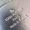 Louis Vuitton Pico GO-14 Handbag
